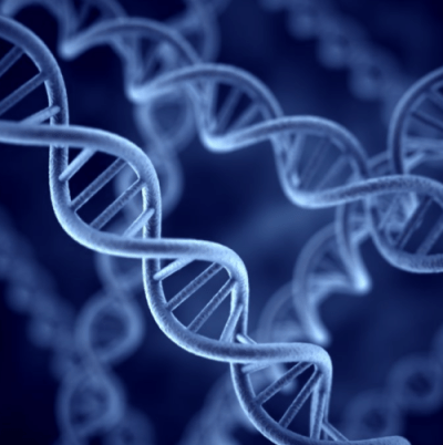 Les chromosmes au cœur des maladies génétiques