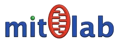 Logo MitoLab T